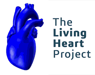Living-heart-project